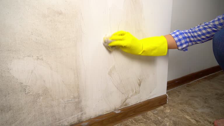 Mold Remediation for Vacation Homes in River Ridge, LA